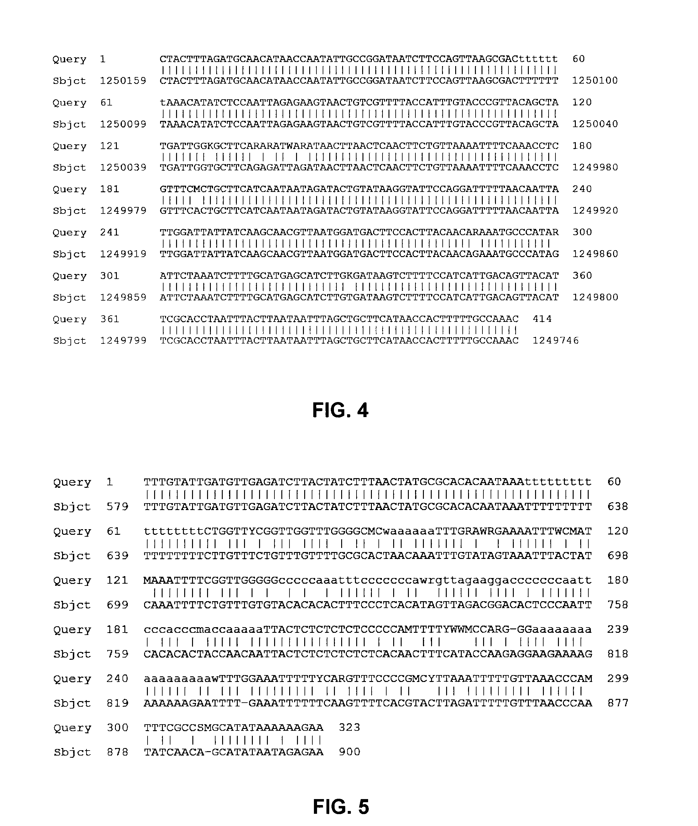 Sequence specific primer pool for multiplex PCR and method of detecting microbial infections in thalassemia patients