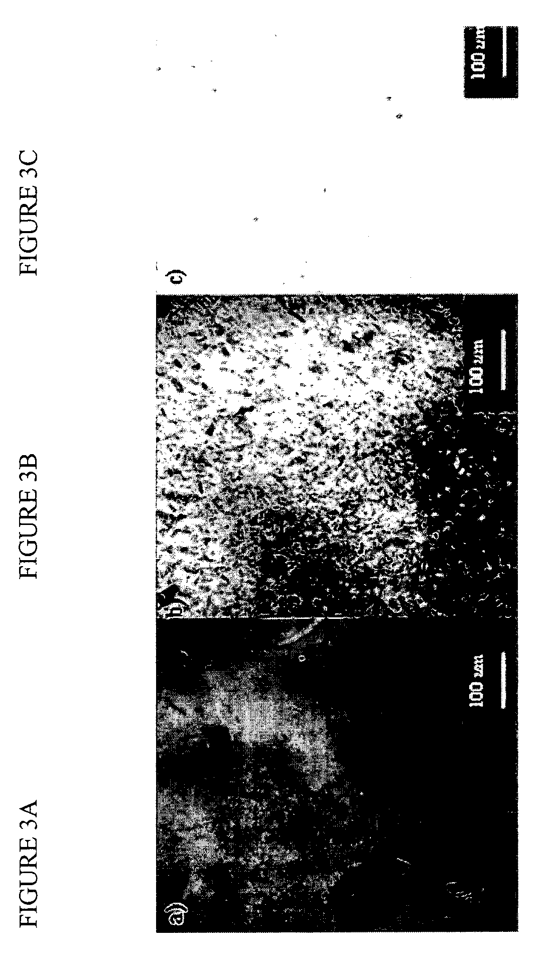 Compositions of cellulose esters and layered silicates and process for the preparation thereof