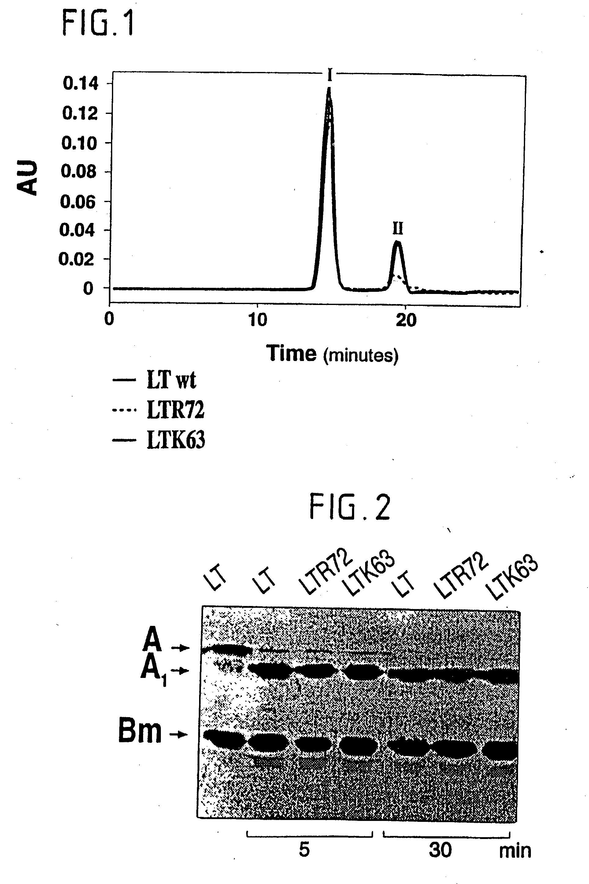 Immunogenic detoxified mutant E. coli LT-A toxin