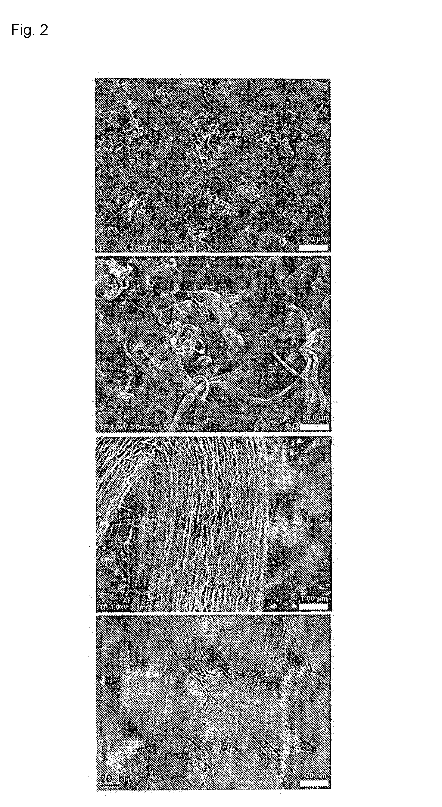 Catalyst for synthesizing multi-wall carbon nanotubes, method for producing catalyst, and multi-wall carbon nanotubes synthesized by catalyst