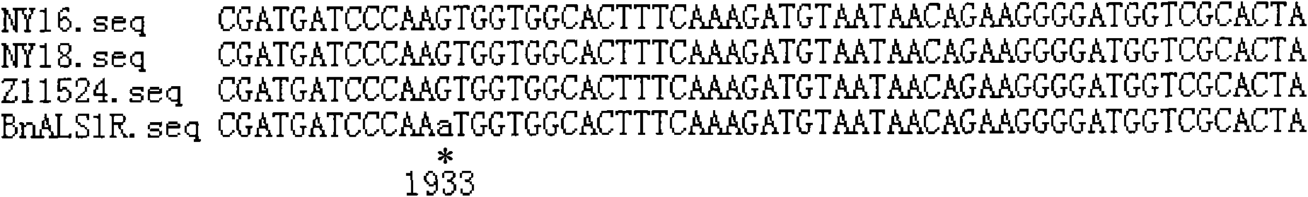 Brassica napus mutator gene for resisting imidazolone weedicide and application thereof