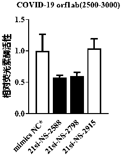 Small interfering nucleic acid for inhibiting novel coronavirus, and composition and applications thereof