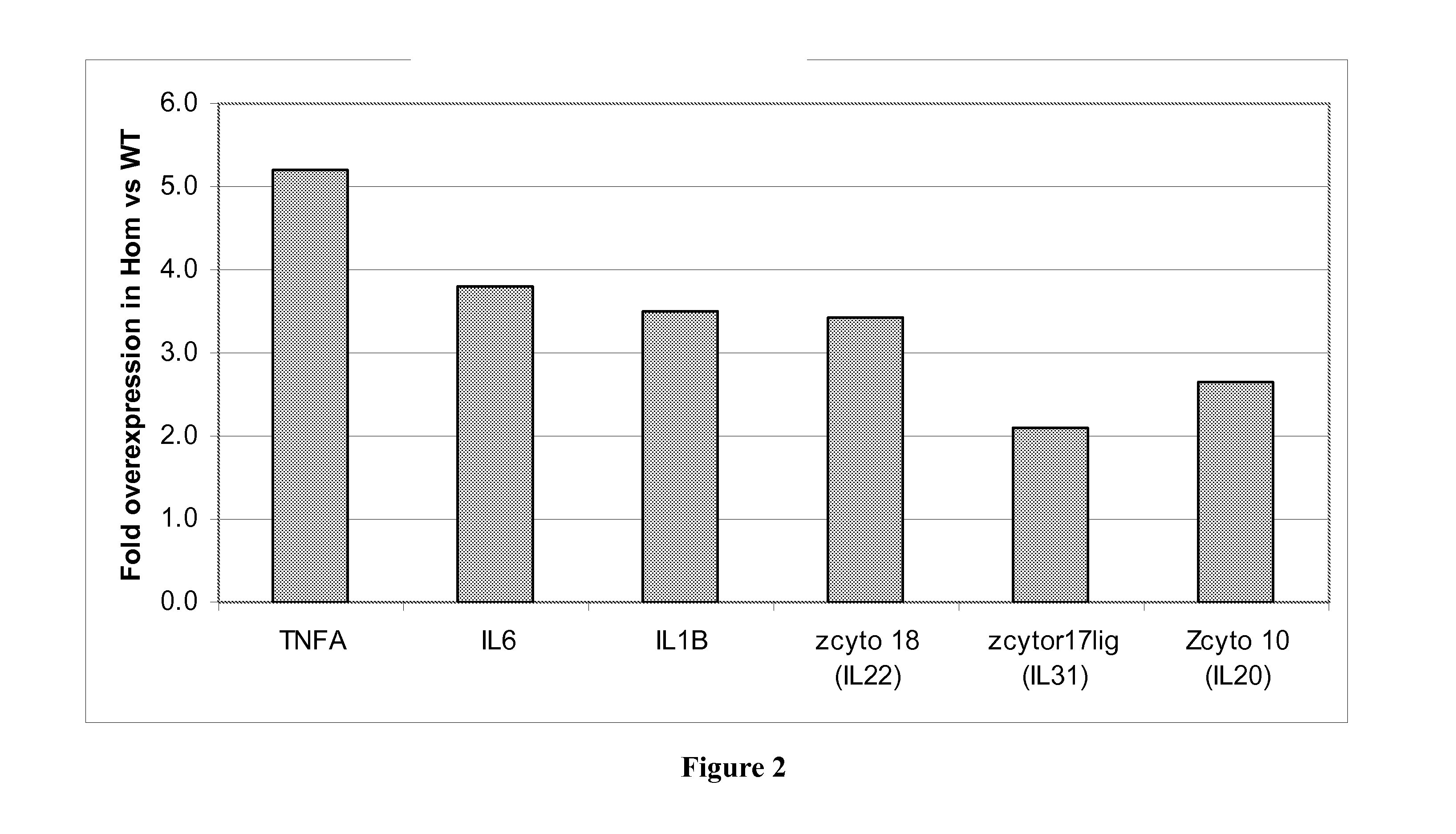 Treatment of wounds using il-17b