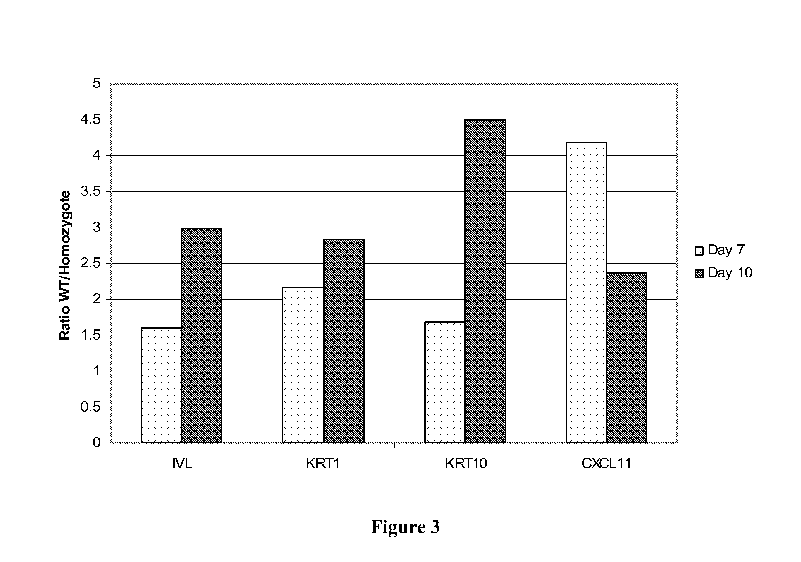 Treatment of wounds using il-17b