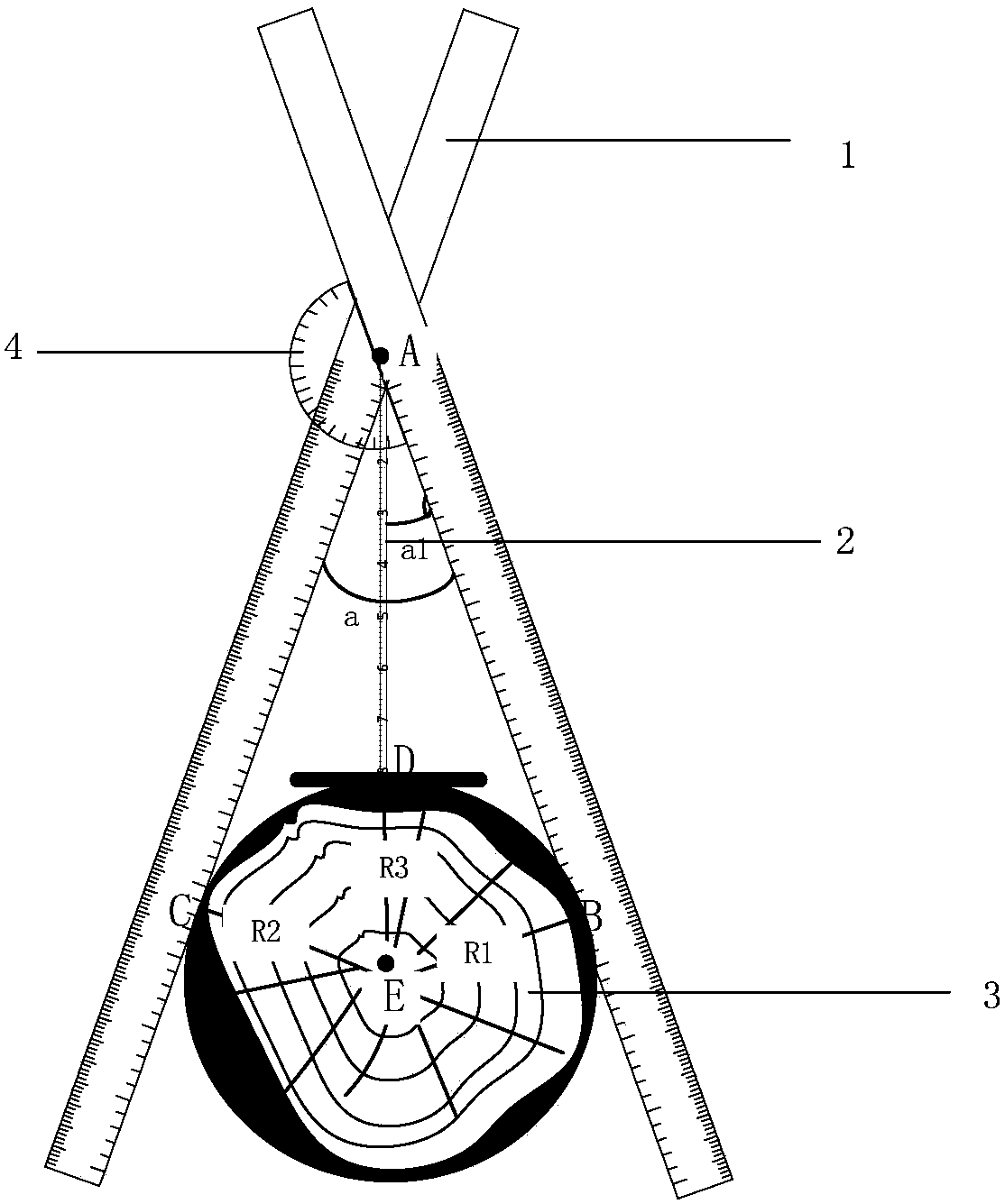 Diameter measurement method based on shear ruler