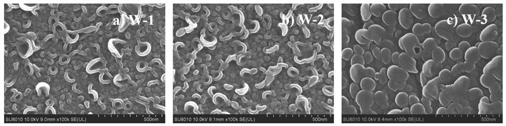 Preparation method of high-selectivity reverse osmosis membrane by covering membrane surface defects