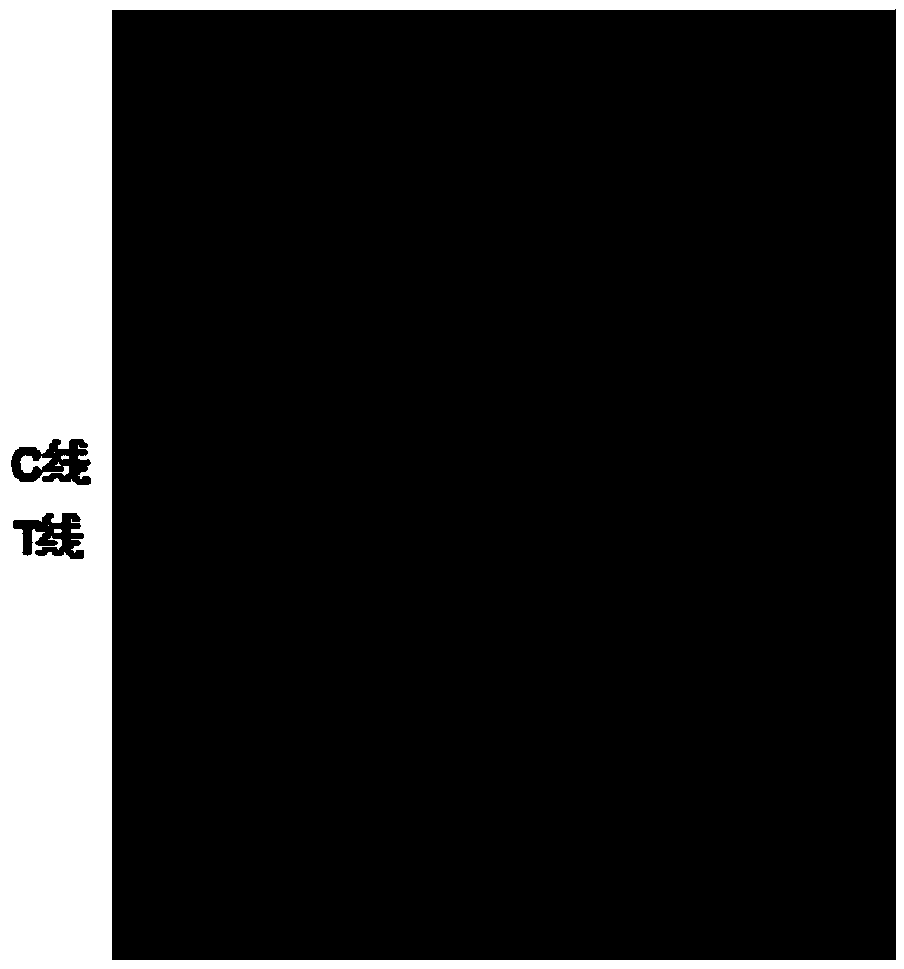 Colloidal gold immunochromatograohic assay detection test strip based on NDV (Newcastle Disease Virus) hemagglutinin protein monoclonal antibody