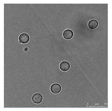 Anti-cancer medicament silicon plastid microcapsule and preparation method thereof