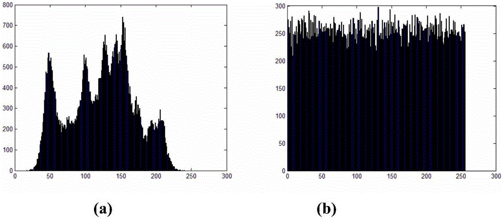 Image encryption algorithm based on dynamic DNA coding and double chaotic mapping