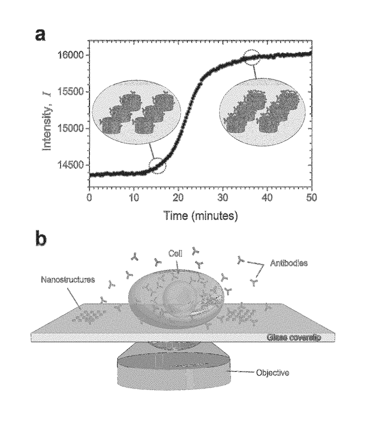 Nanosplasmonic imaging technique for the spatio-temporal mapping of single cell secretions in real time