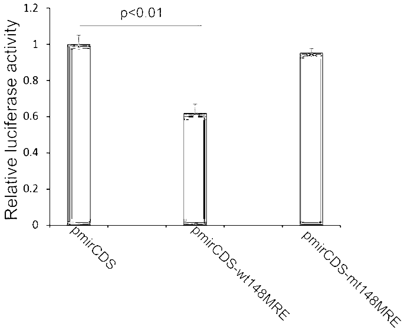 Dual fluorescent reporter gene vector for identifying miRNA targets, preparation method and application thereof