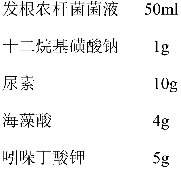 Microbial agent for improving growth of tomatoes and preparation method of same