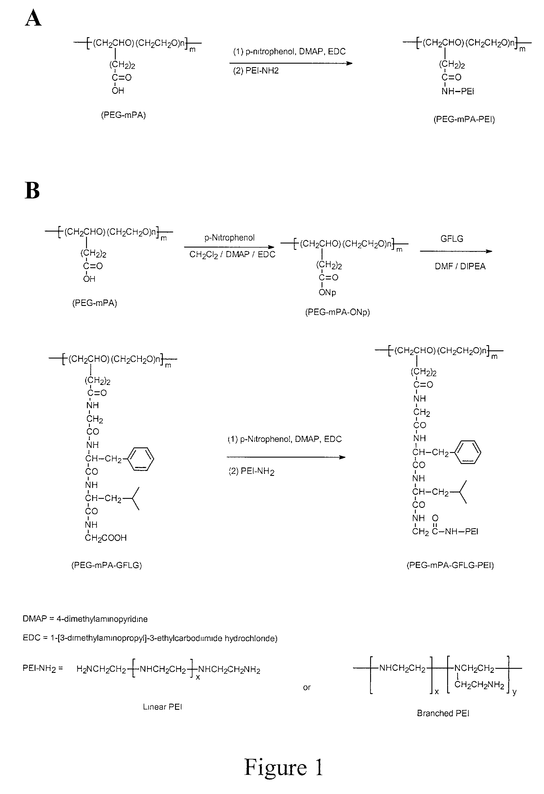 Polycationic water soluble copolymer and method for transferring polyanionic macromolecules across biological barriers