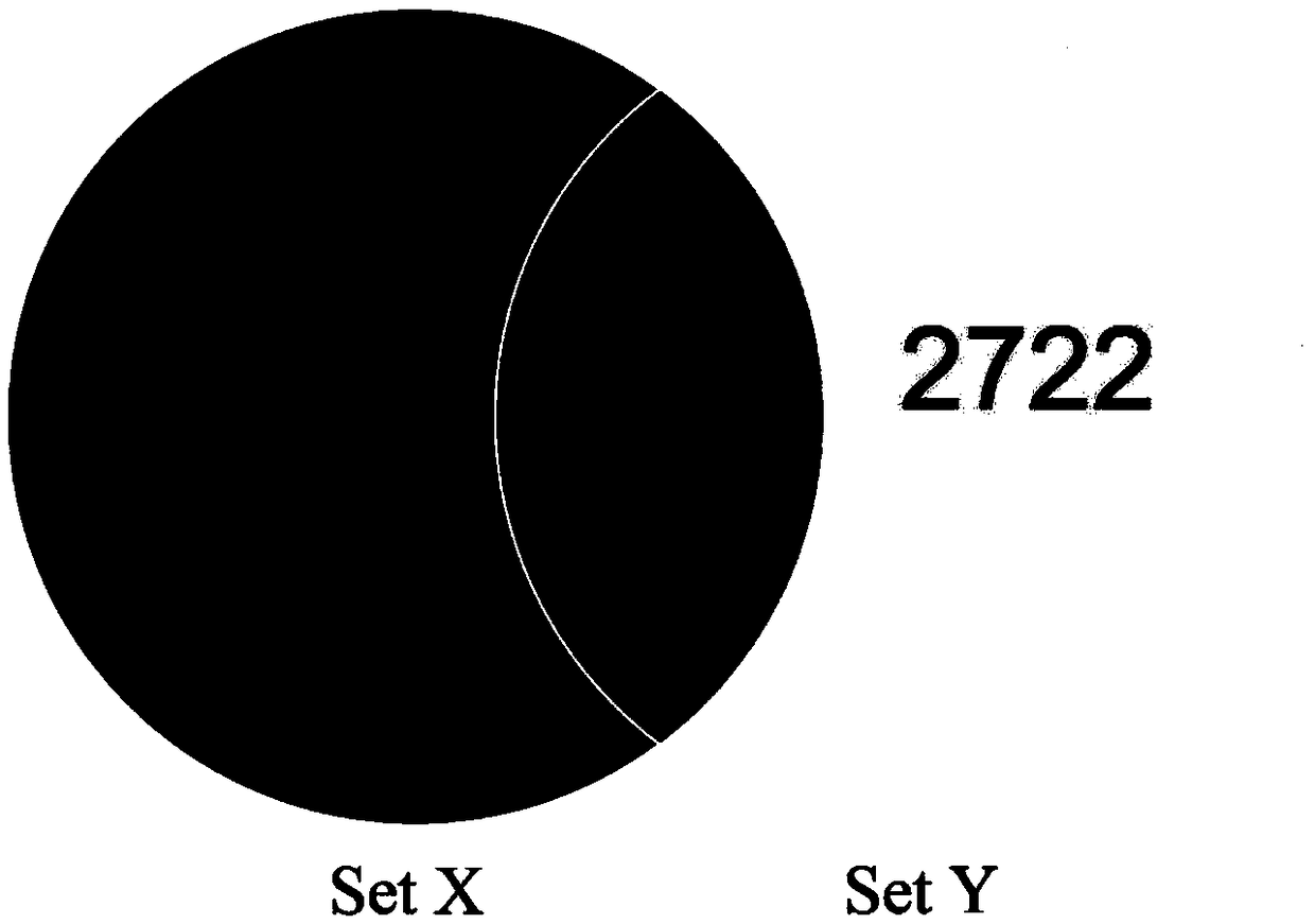 Method for identifying specific peptides of Chinese medicine containing protein