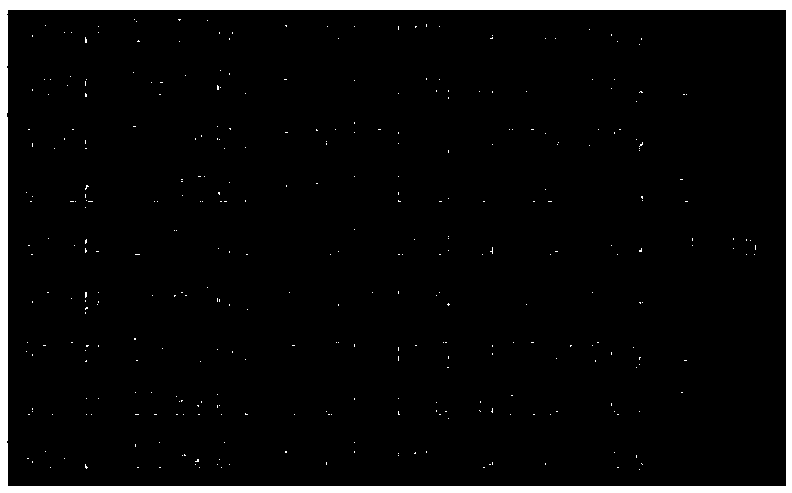 Deep learning digital handwriting identification method based on ARM (Advanced RISC Machines) platform