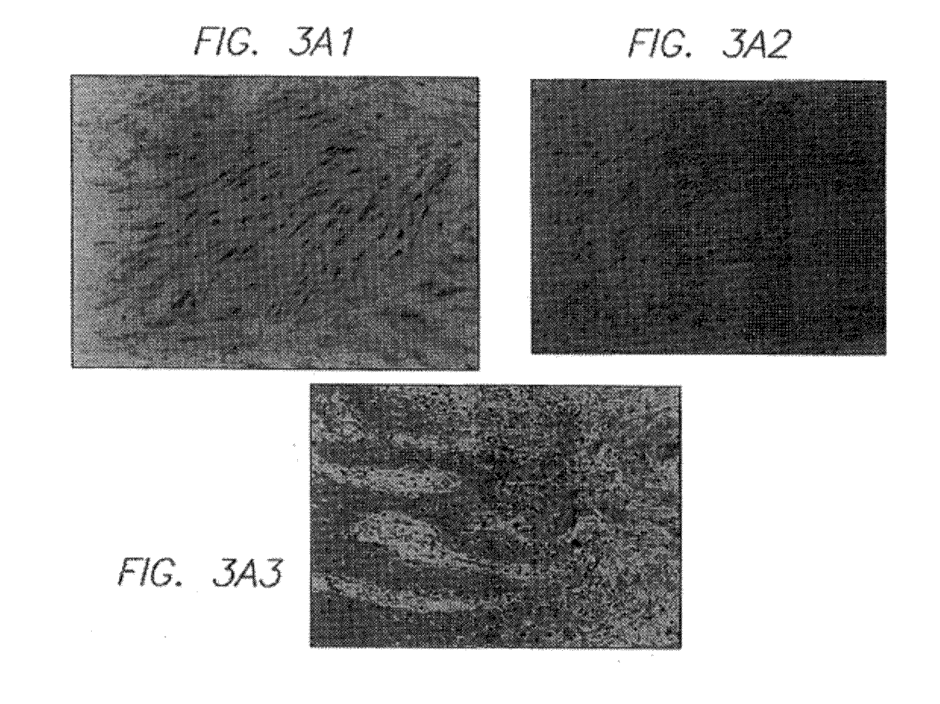 In vivo transfer methods for wound healing