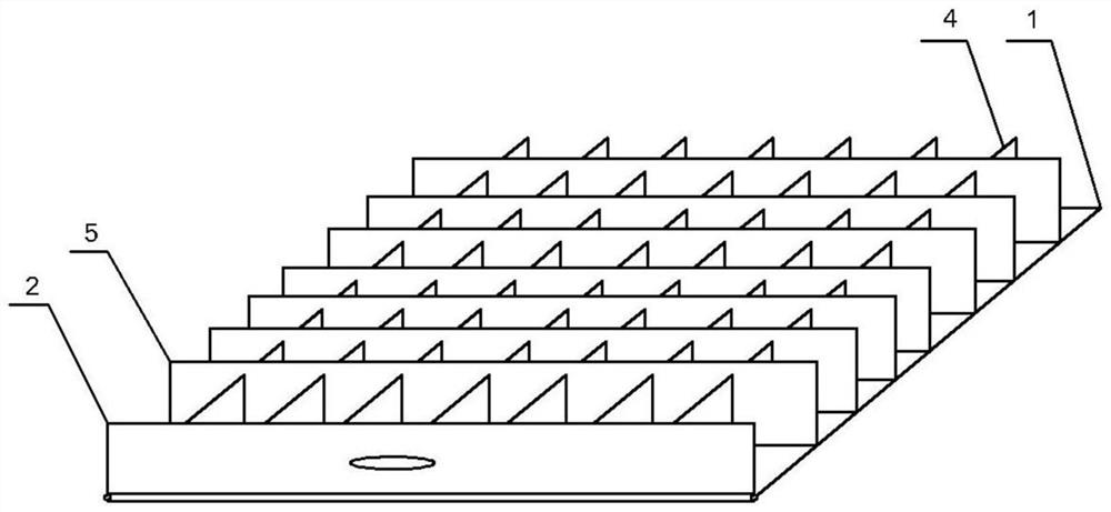 Breeding method of green sea turtle