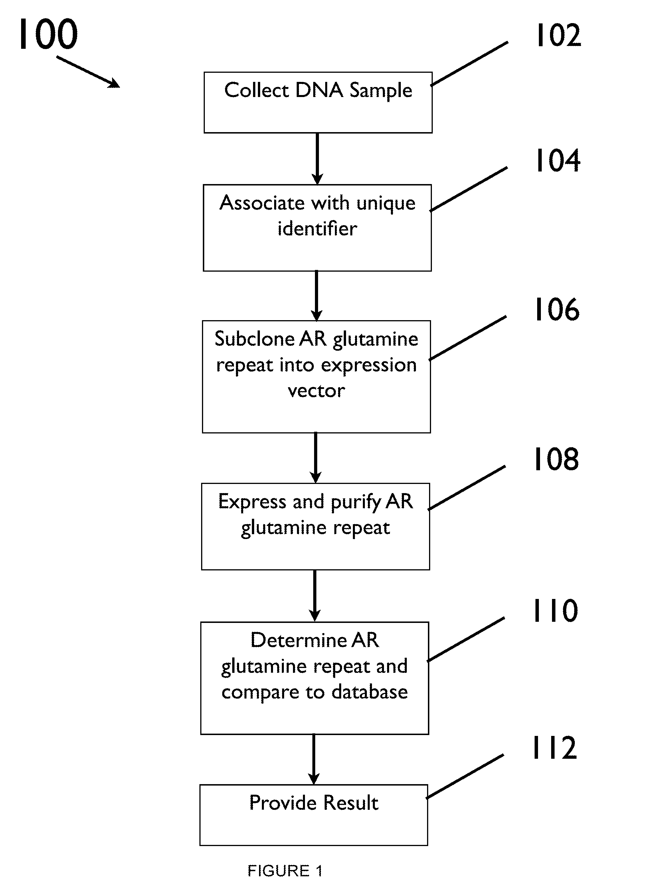 Systems And Methods For Predicting Response To Anti-Androgen Therapy For The Treatment Of Androgenetic Alopecia