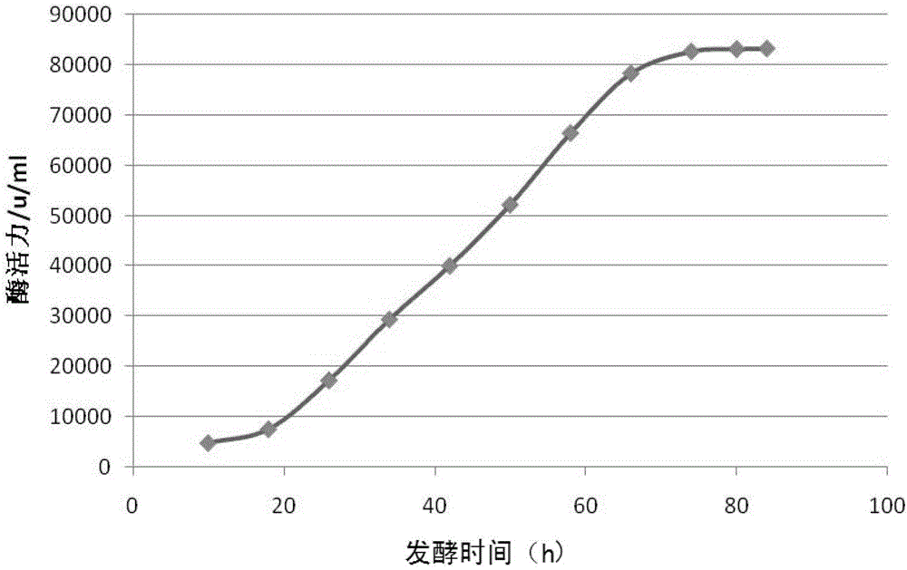 A kind of bacterial strain producing alkaline protease and its industrialized liquid fermentation method