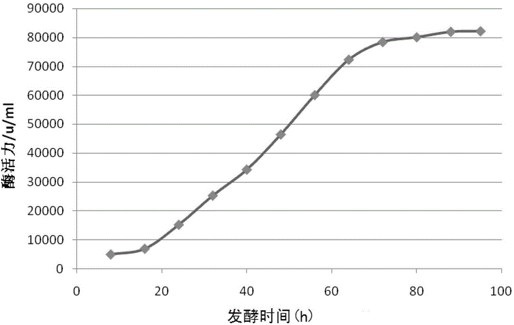 A kind of bacterial strain producing alkaline protease and its industrialized liquid fermentation method