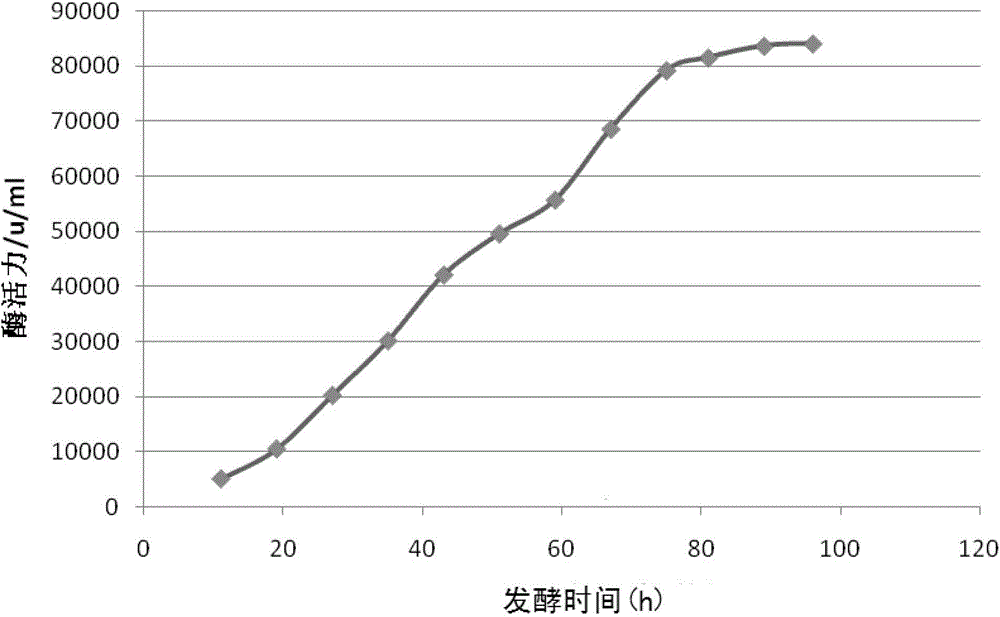 A kind of bacterial strain producing alkaline protease and its industrialized liquid fermentation method