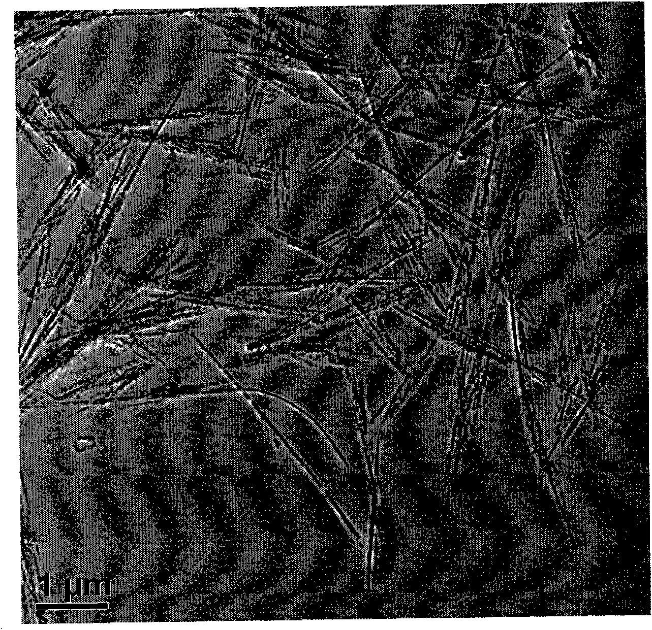 Preparation method of rutile phase vanadium dioxide nanowire and application