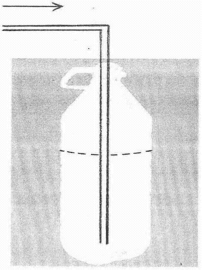 Method for cultivating branchionus plicatilis through waste plastic buckets