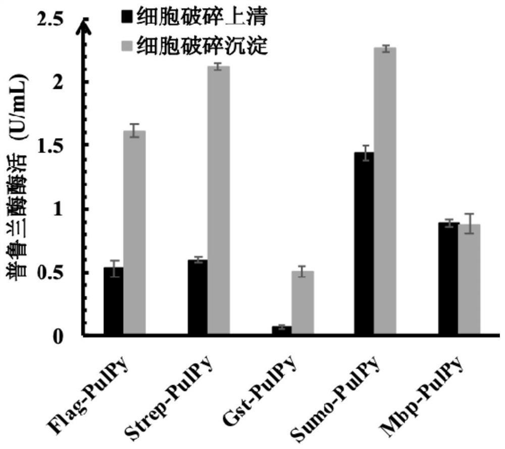 A kind of thermophilic recombinant type II pullulanase and its application