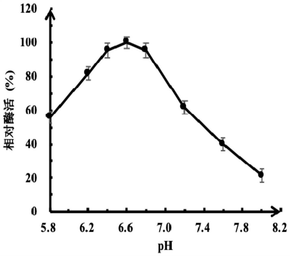 A kind of thermophilic recombinant type II pullulanase and its application