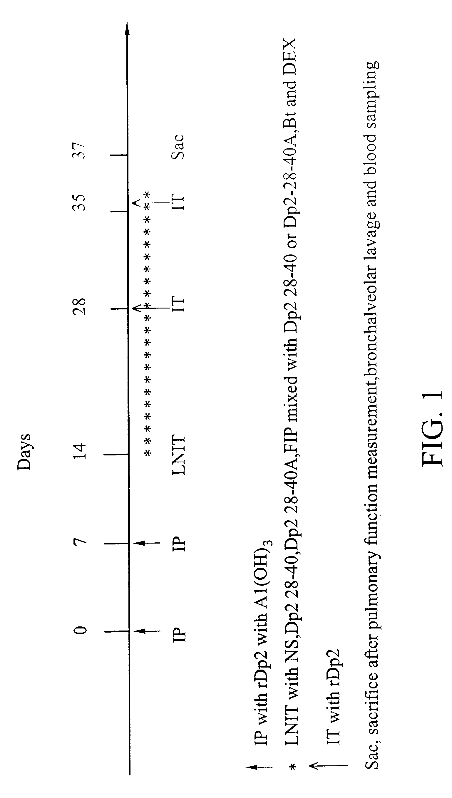 Local nasal immunotherapy for allergen-induced airway inflammation