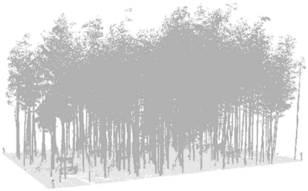 Moso bamboo forest number identification method and device based on foundation laser radar