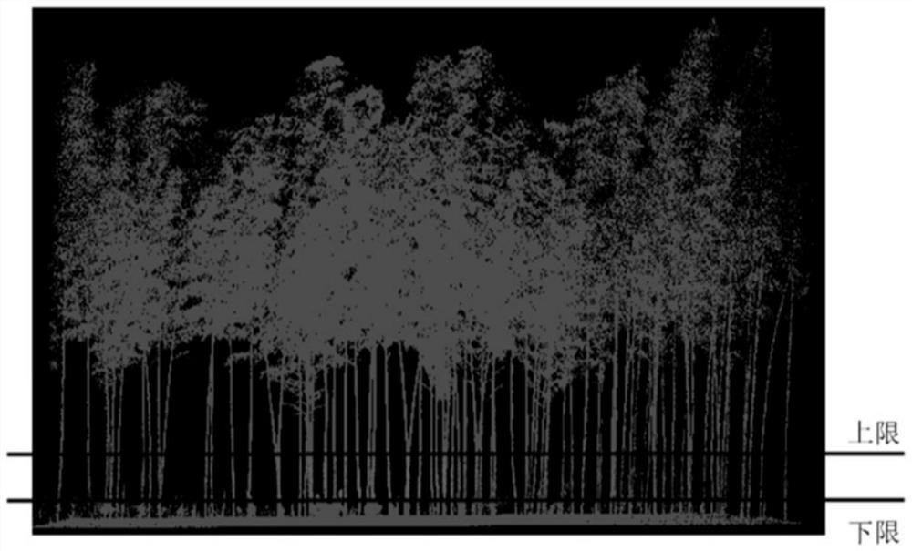 Moso bamboo forest number identification method and device based on foundation laser radar