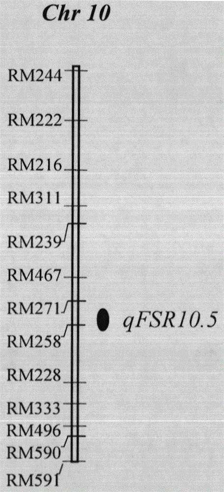 The major genes and their molecular markers for resistance to rice false smut