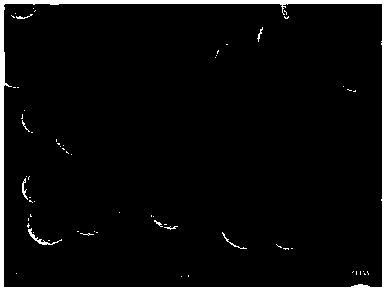 Preparation method of polymer particles with wrinkling surfaces