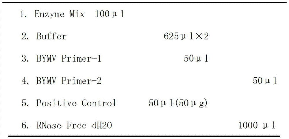 Primers, kit and detection method for detecting bean yellow mosaic virus