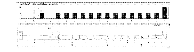 Kit and method for detecting gene polymorphism of irinotecan personalized medicine by pyrophosphoric acid sequencing method