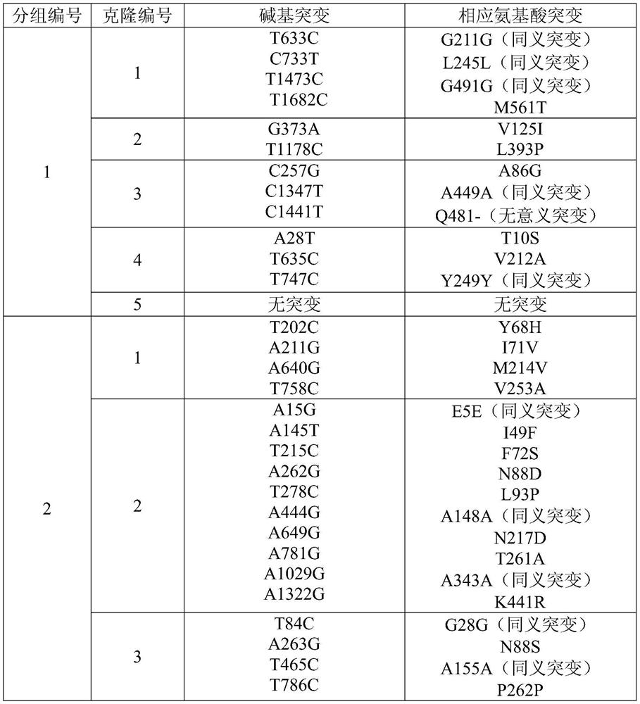 Method for rapidly constructing protein mutant pichia pastoris expression library and application thereof