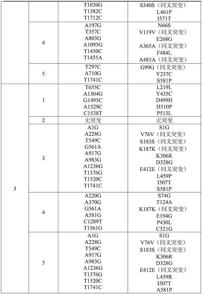 Method for rapidly constructing protein mutant pichia pastoris expression library and application thereof