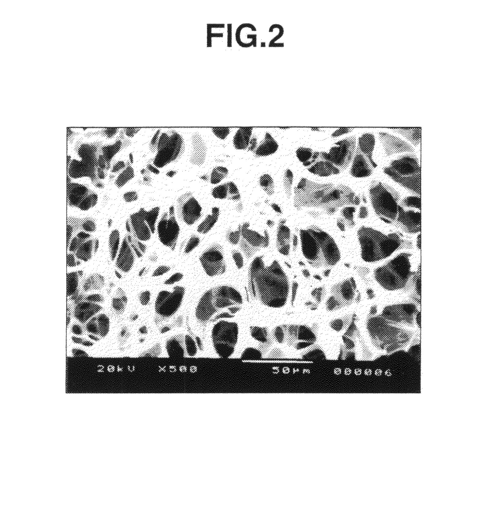 Crosslinked polysaccharide sponge