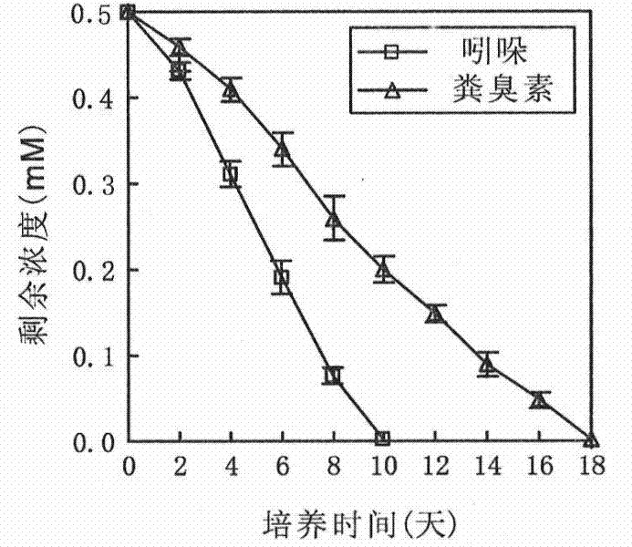 Application of an indole and skatole degrading strain lpc24