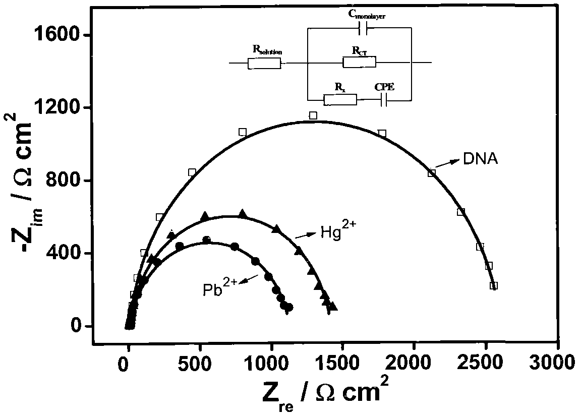 Method for simultaneously determining Pb&lt;2+&gt; and Hg&lt;2+&gt; based on electrochemical DNA biosensor