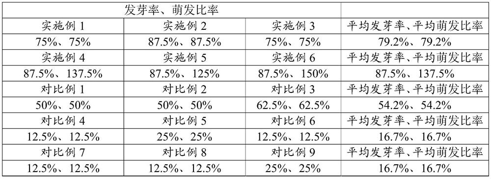 A kind of high-efficiency aseptic sowing seedling raising method of golden camellia hybrid seeds