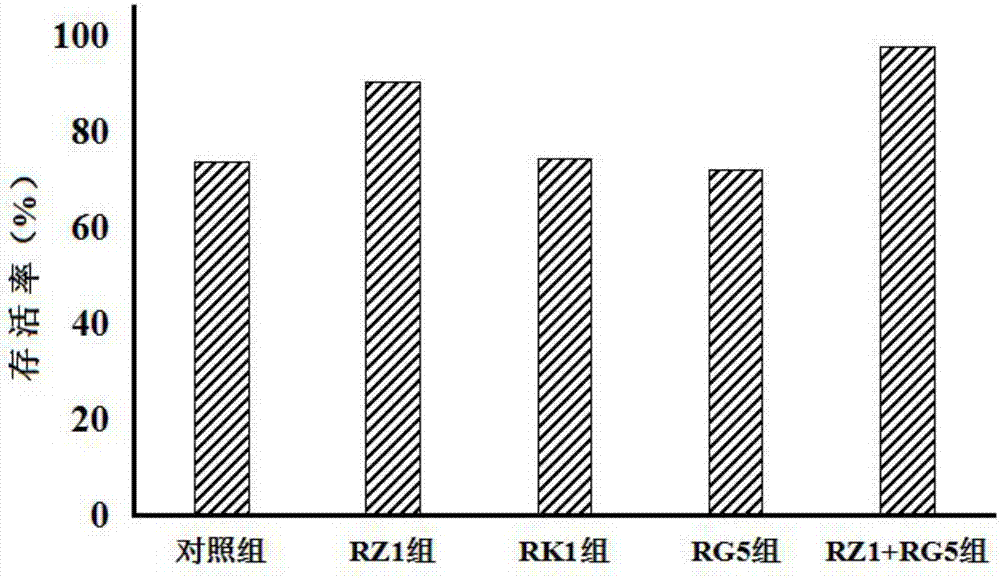 Storage liquid for mesenchymal stem cells