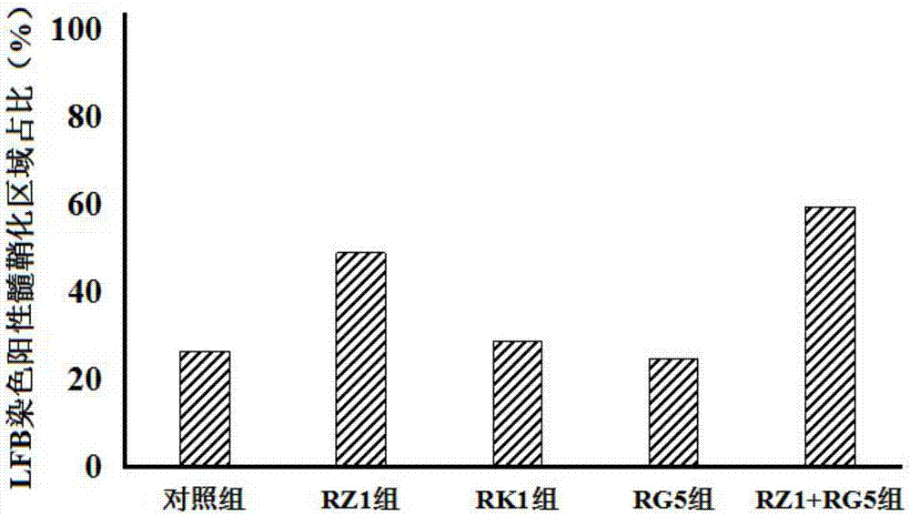 Storage liquid for mesenchymal stem cells