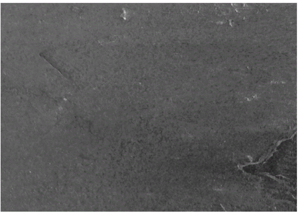 Water-based titanium ingot high temperature resistant oxygen-absorbing coating and its application and production method of titanium ingot