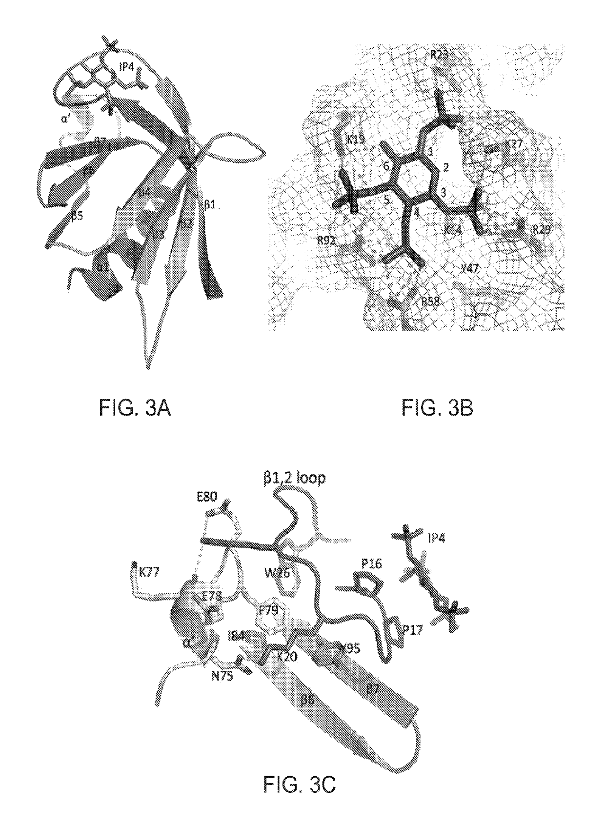 Inhibitors of GRB2-associated binding protein 1 (GAB1) and methods of treating cancer using the same