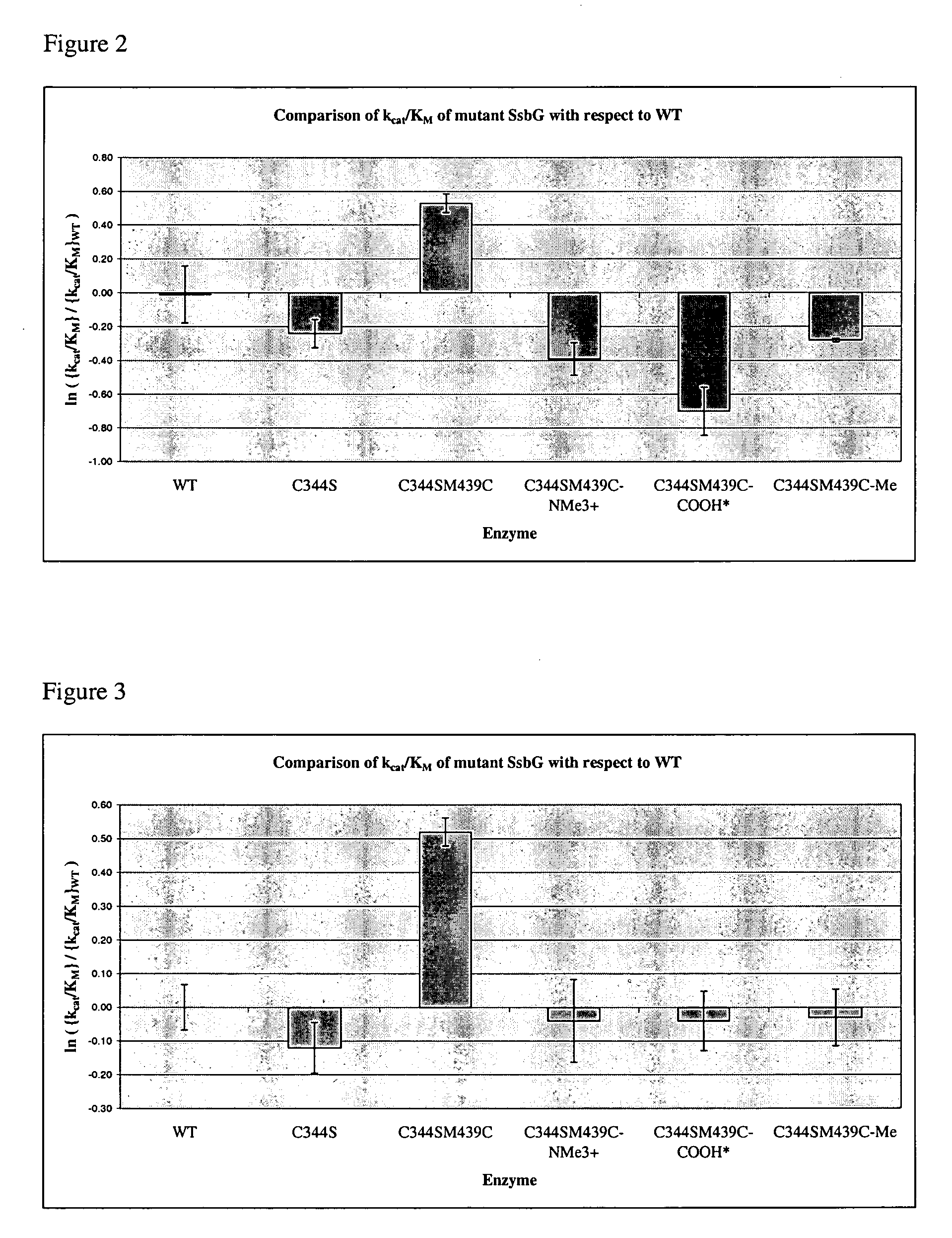 Modified carbohydrate processing enzyme