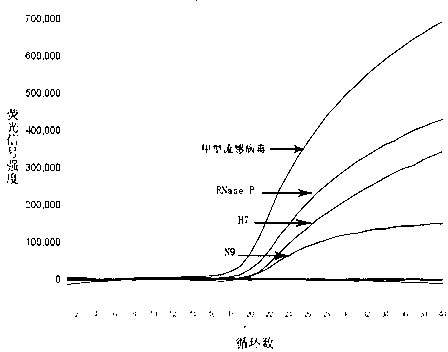 Fluorescent quantitative reverse transcription-polymerase chain reaction (RT-PCR) kit for detecting influenza A virus subtype H7N9