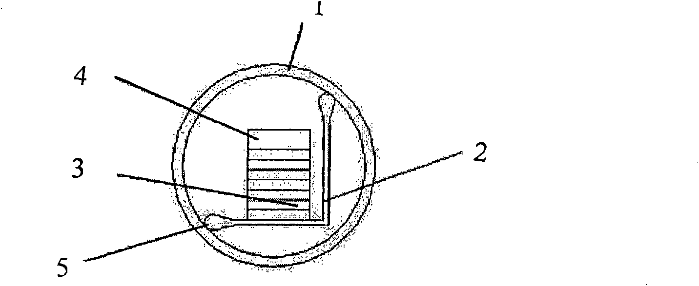 Motor based on direct piezoelectric impact rotation