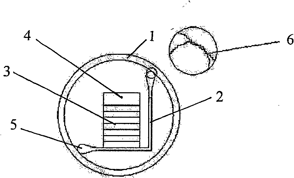 Motor based on direct piezoelectric impact rotation